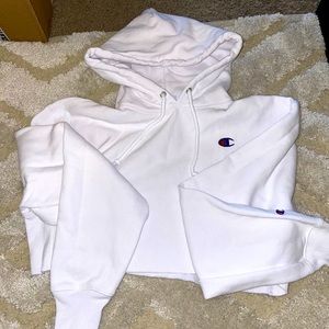Champion cropped hoodie size small